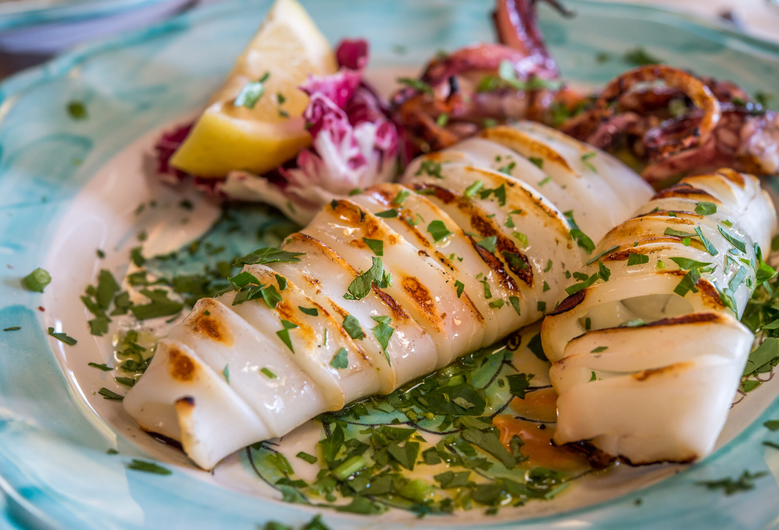 Kalmary po włosku Grilled,Squid,With,Lemon,And,Vegetables,On,Color,Plate,At